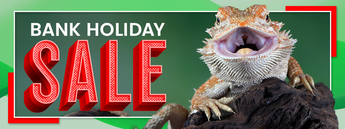 https://www.reptiles.swelluk.com/sale?multiple_select_offers=Bank%20Holiday%20Sale