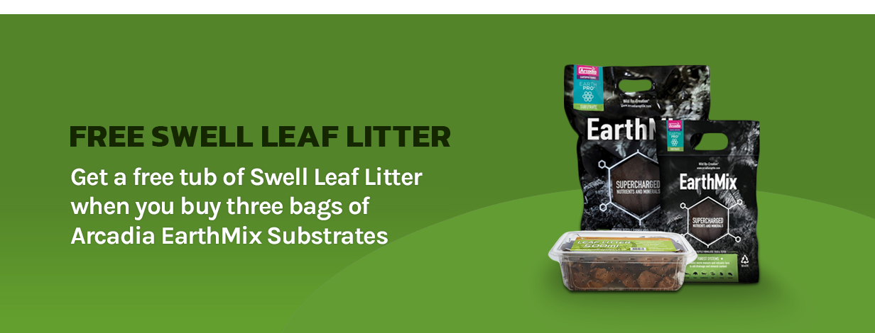 FREE Swell Leaf Litter - Arcadia EarthMix Substrates