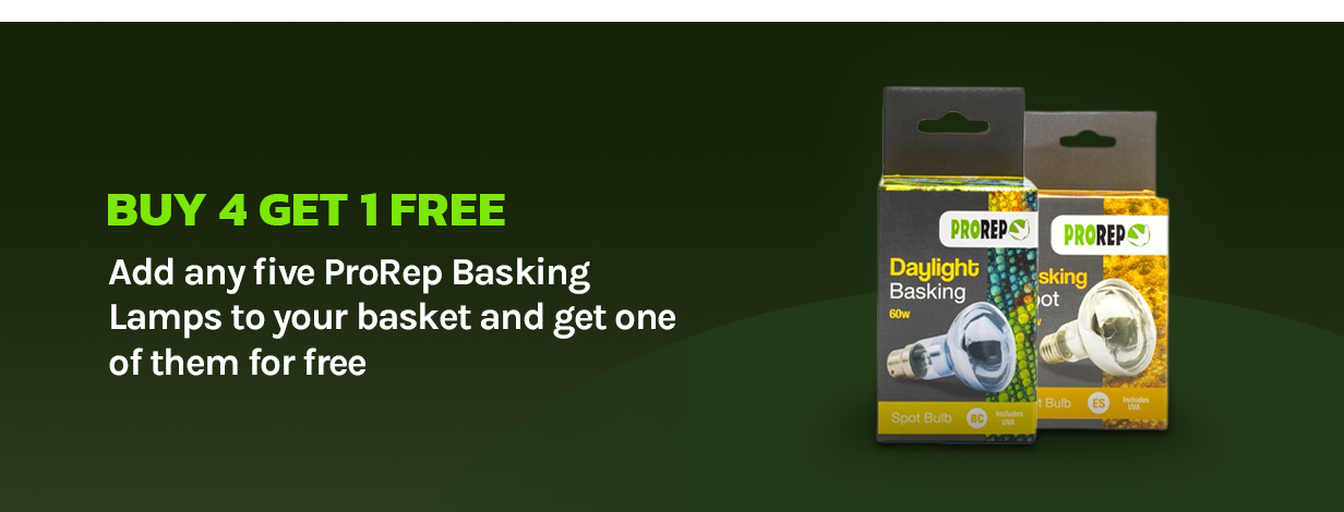 Buy 4, Get 1 FREE - ProRep Basking Lamps