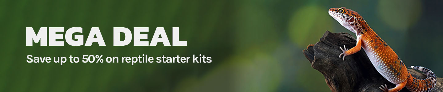Reptile Starter Kits