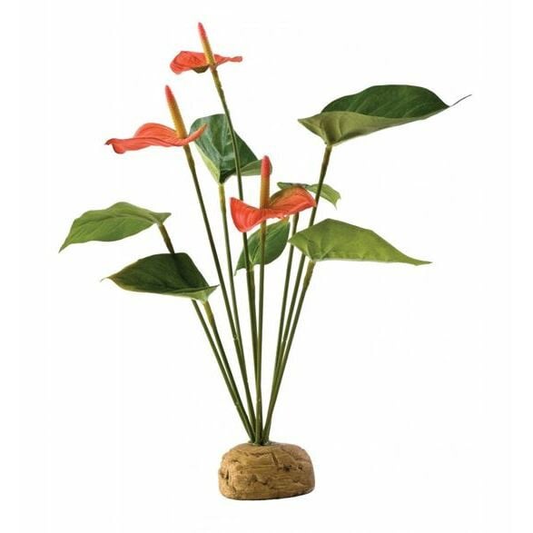 Exo Terra Anthurium Bush