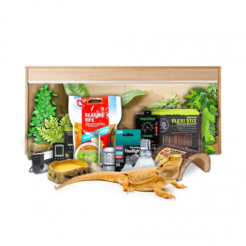 20 Gallon Leopard Gecko Kit 10 Gallon Snake Starter Kit Outlet