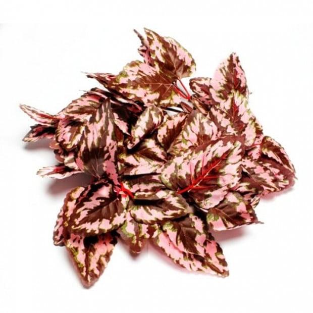 Swell Coleus Vine Artificial Plant