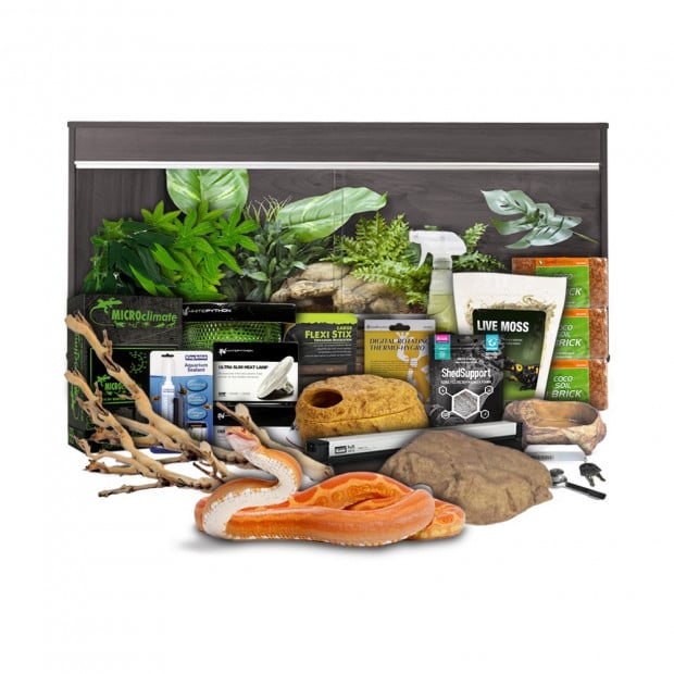 <em>Image for illustration purposes only.</em>