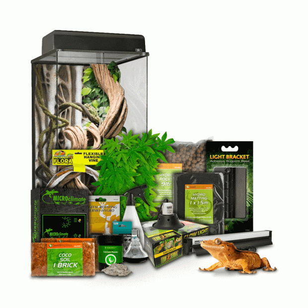 Pangea crested gecko sales kit