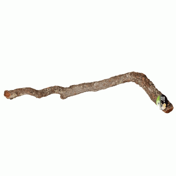 ProRep Cork Oak Branch