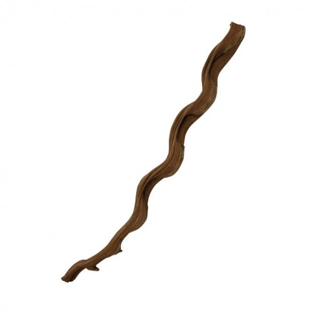 ProRep Natural Snake Vine