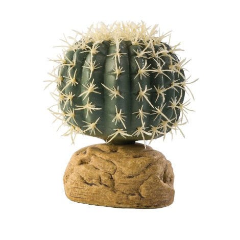 Exo Terra Barrel Cactus