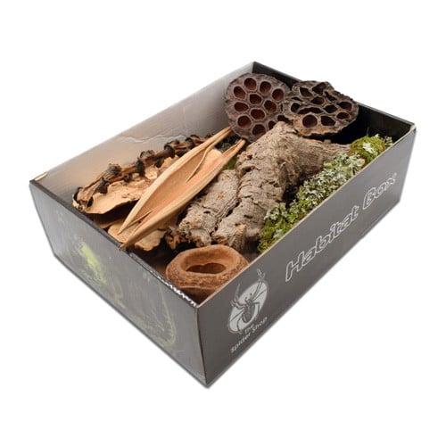 The Spider Shop Habitat Decor Boxes