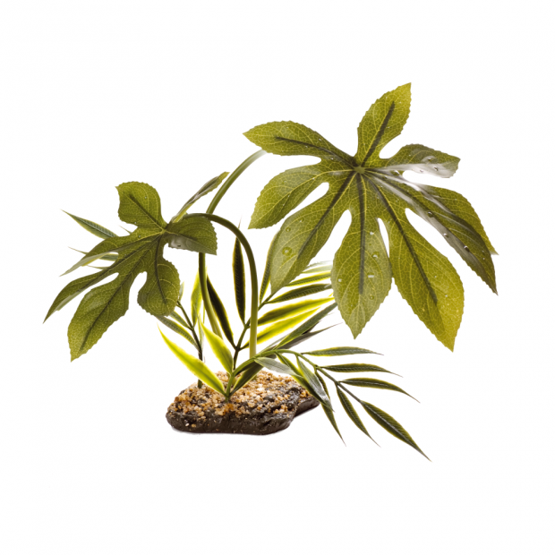 Komodo Jungle Canopy Plant