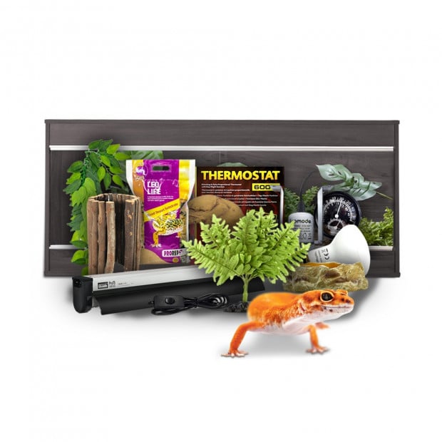 <em>Image for illustration purposes only.</em>