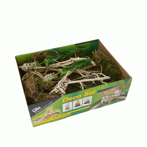 Lucky Reptile Life Experience Deco Set Mantis