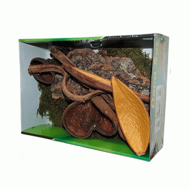 Lucky Reptile Life Experience Decor Jungle