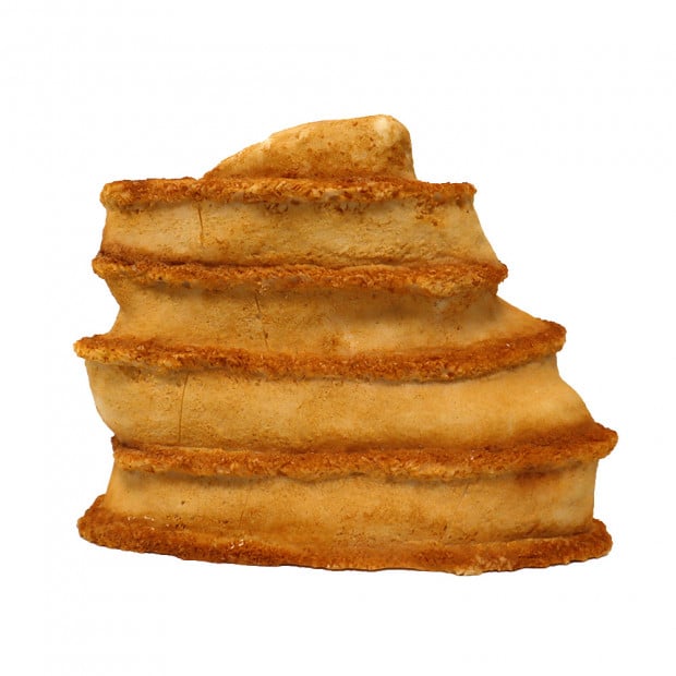 Swell Rocky Mountain Ornament