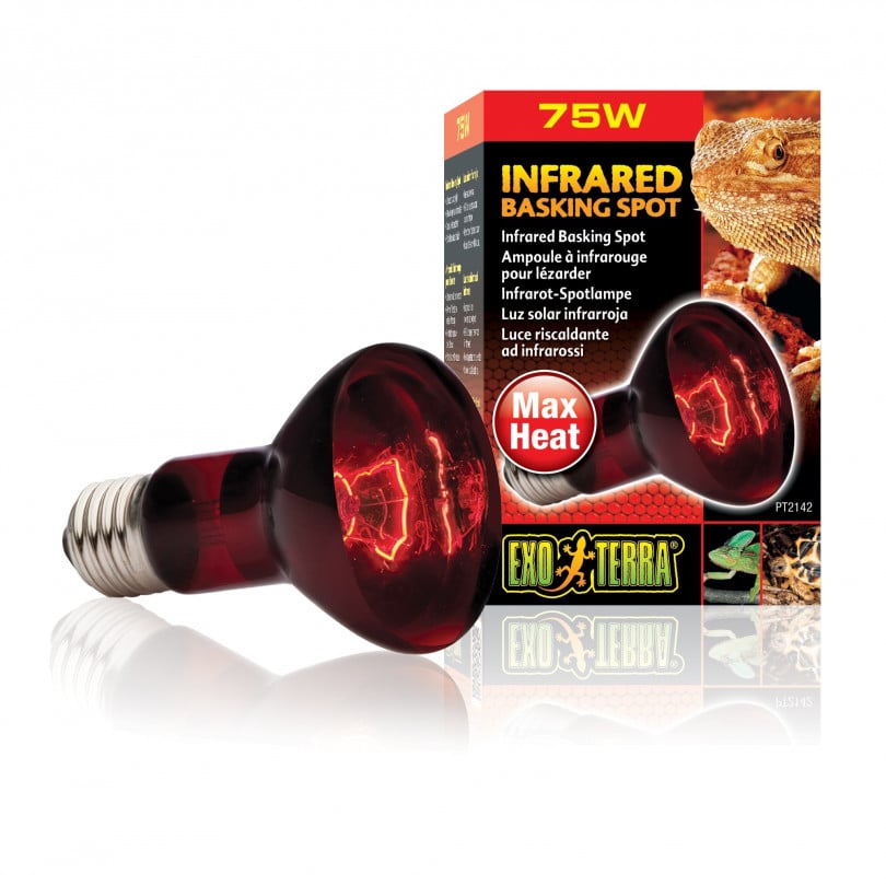 Exo Terra Heat Glo Infrared Reptile Bulb