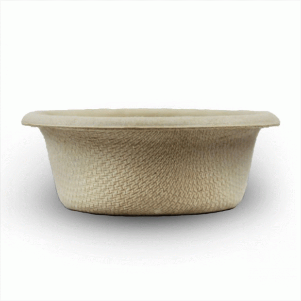 Pangea Gecko Feeding Cups