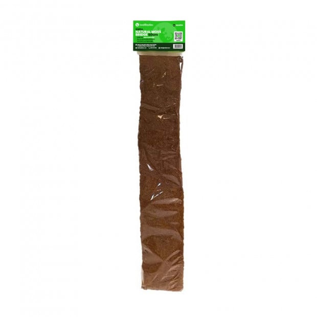 Swell Natural Coco Moss Bridge