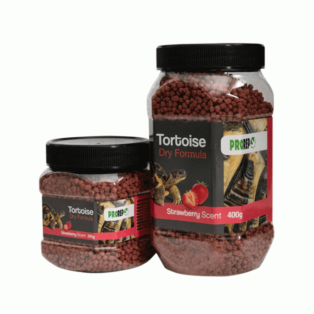 Prorep 2024 tortoise food