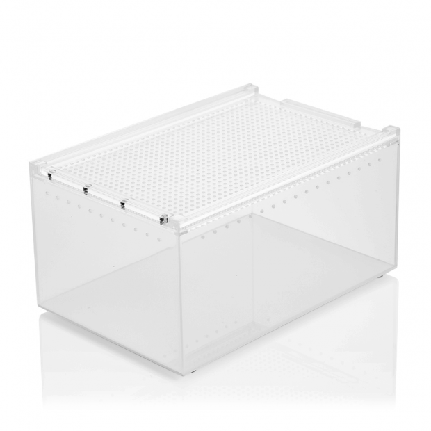 Swell Acrylic Reptile Display Box
