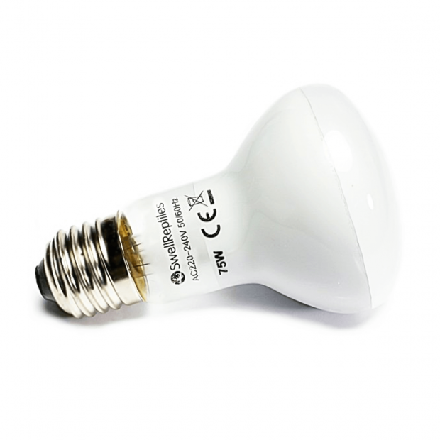 Reptile light deals