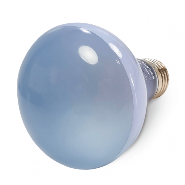 Swell Neodymium Daylight Spot Lamps