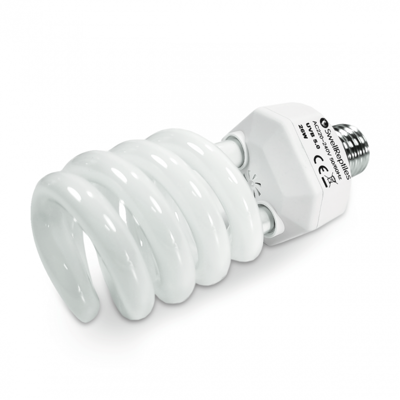 Compact uvb bulb cheap