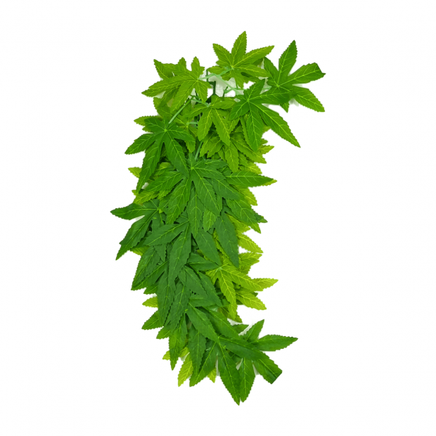 Swell Trailing Abutilon Artificial Plant