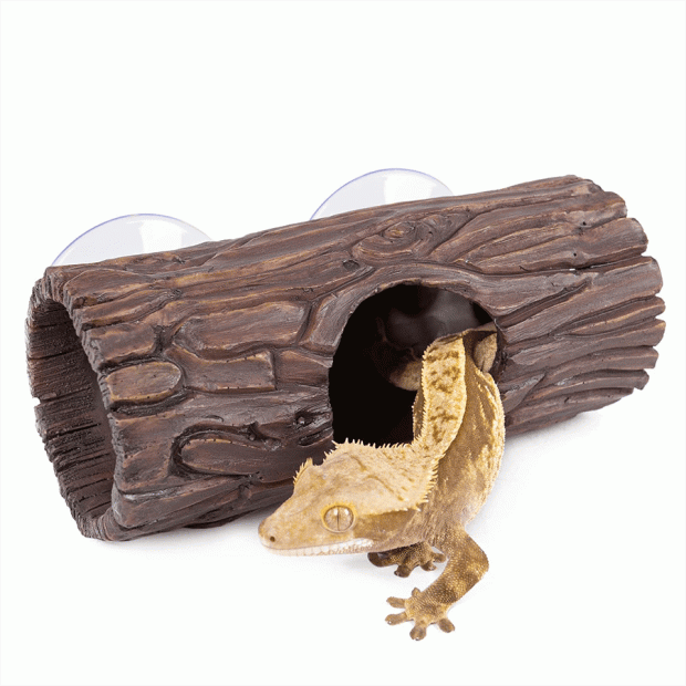 Swell Arboreal Tree Den