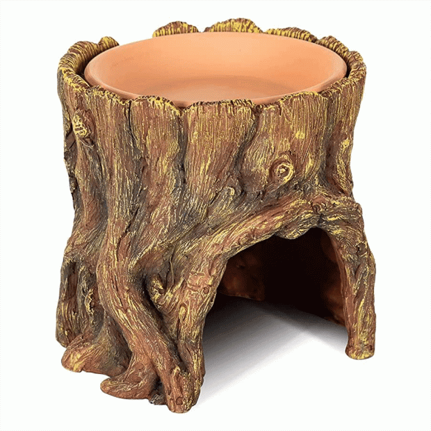 Swell Tree Root Hideaway