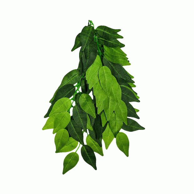 Swell Artificial Trailing Ficus
