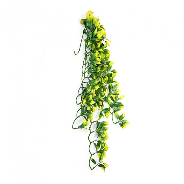 Swell Premium Mandarin