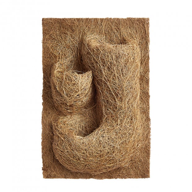 Swell Coco Planting Mat