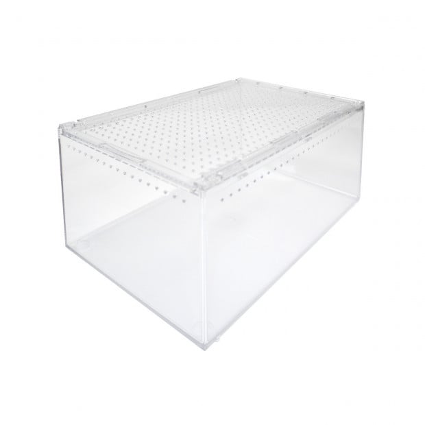 Swell Transparent Breeding Box