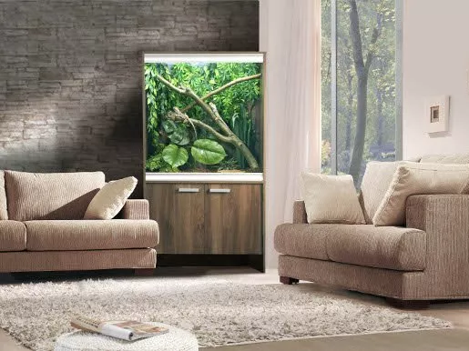 What size vivarium or terrarium do I need for my new reptile?