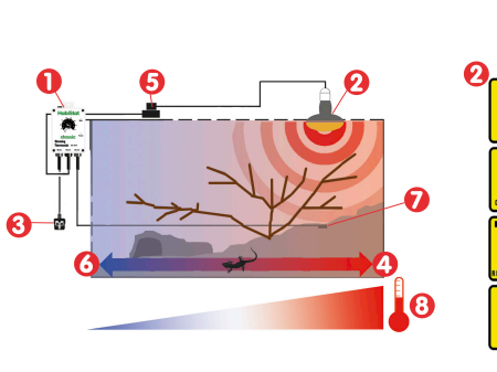 Reptile thermostat setup - where to put the thermostat probe in your vivarium