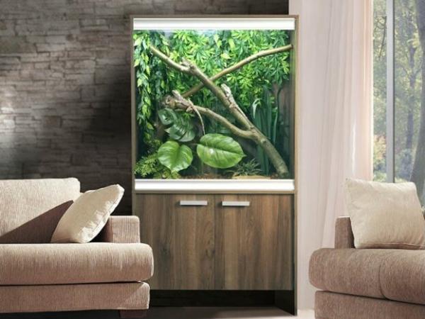 Top 10 new vivariums and terrariums