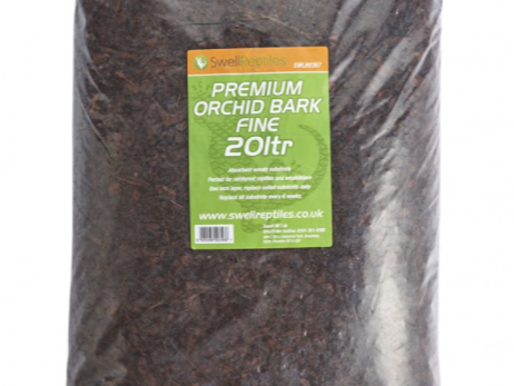 What is the best reptile substrate?