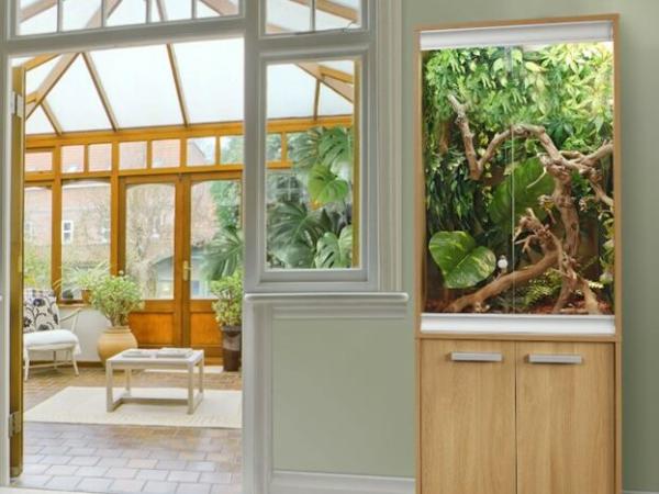 How to create the perfect reptile setup