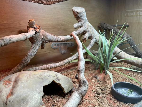 Creating your own desert set up